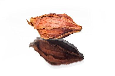 《暗影火炬城》现已上线PS商城 主视觉图和新截图公开